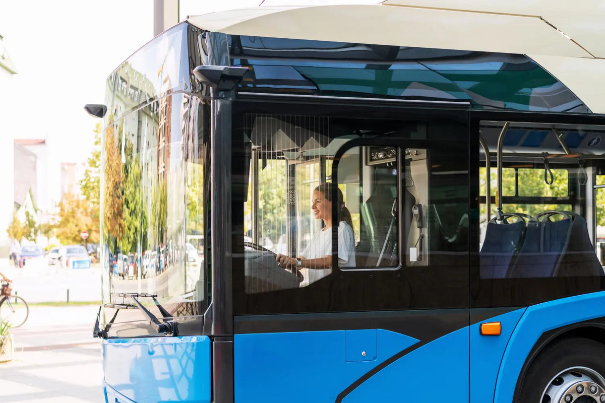 Neuerteilung Klasse D - Neuerteilung der Fahrerlaubnis, Bus